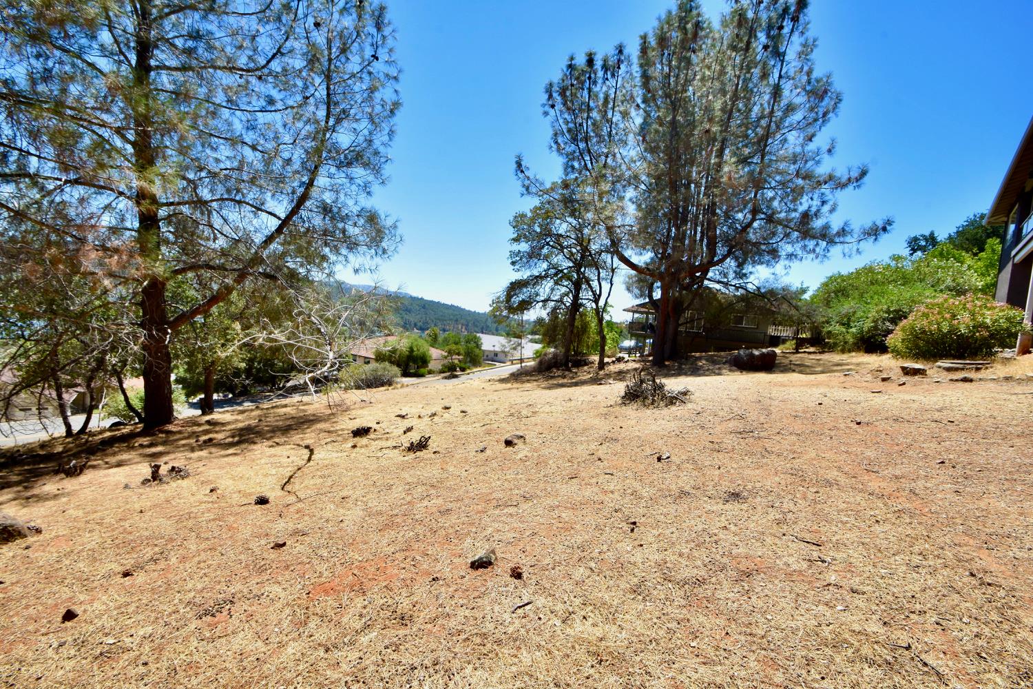 Jack Hill Drive, Oroville, California image 5