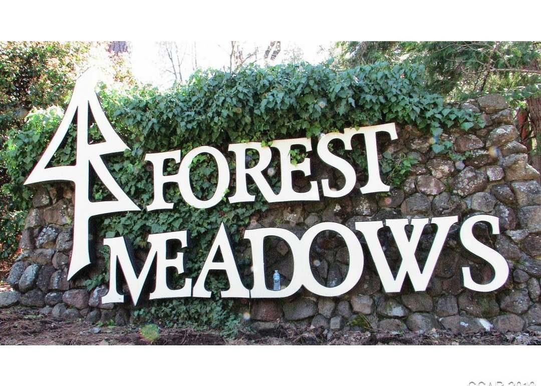 Dogwood Drive, Murphys, California image 9