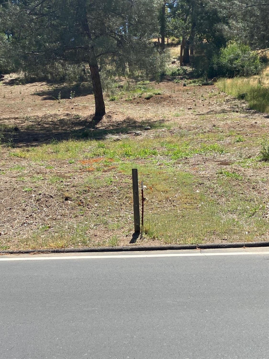 Dogwood Drive, Murphys, California image 5