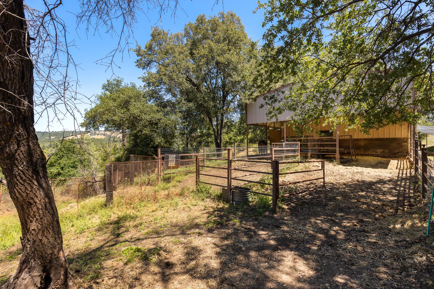 Patton Peak Road, Oroville, California image 20