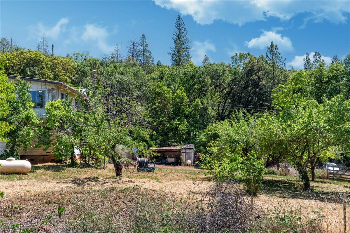La Porte Road, Rackerby, California image 32
