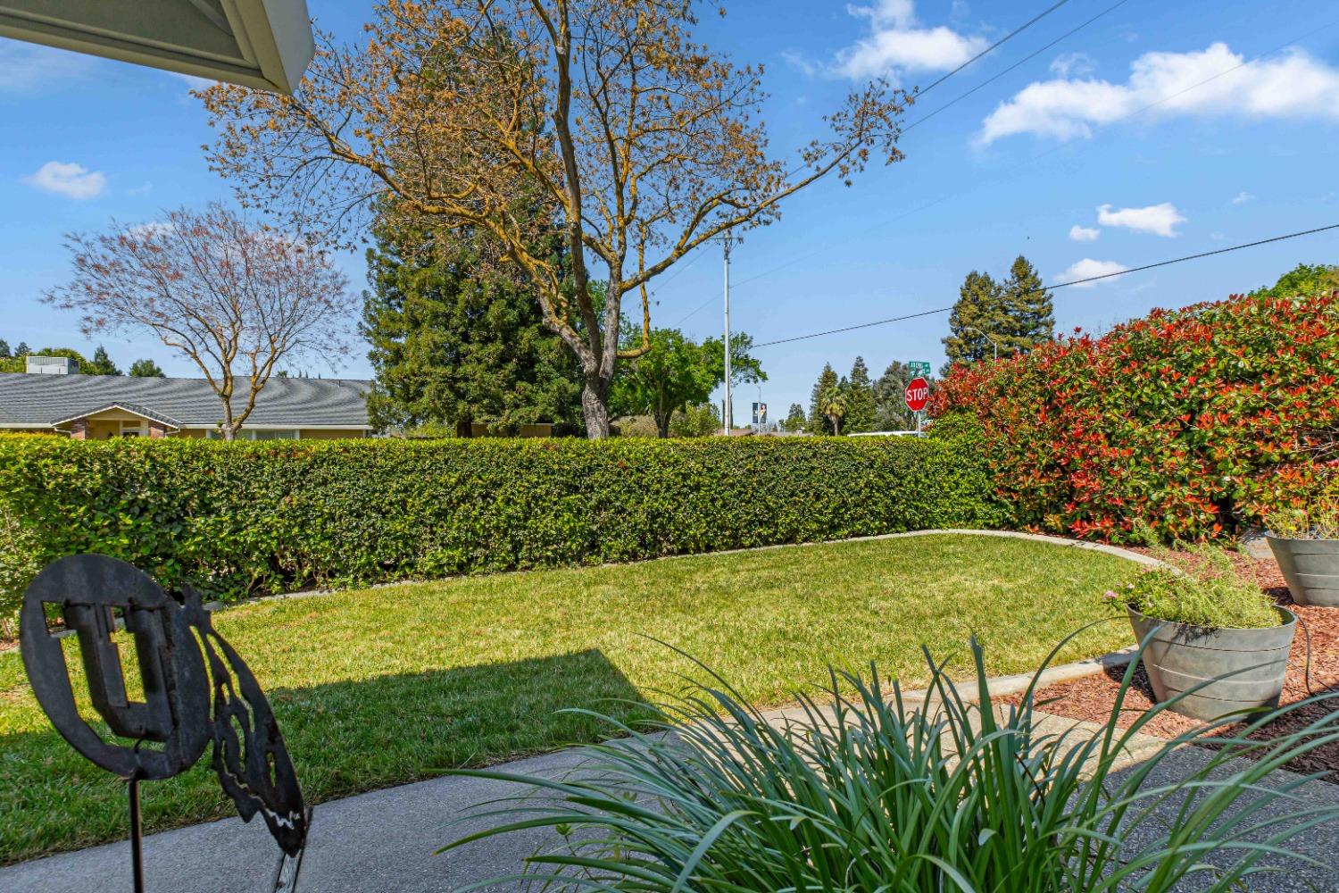 Joerg Avenue, Merced, California image 6