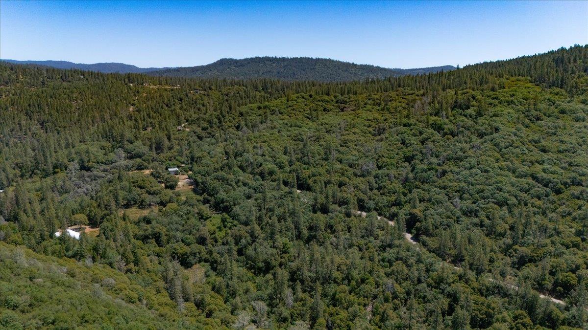 La Porte Road, Rackerby, California image 46