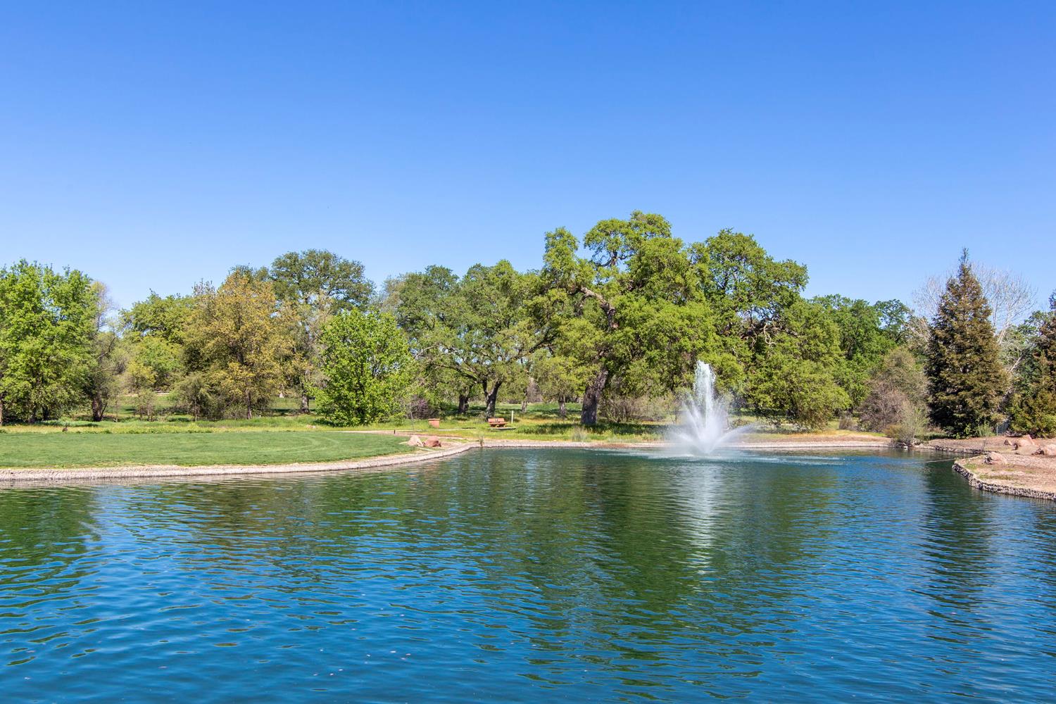 Firefly Green, Roseville, California image 28