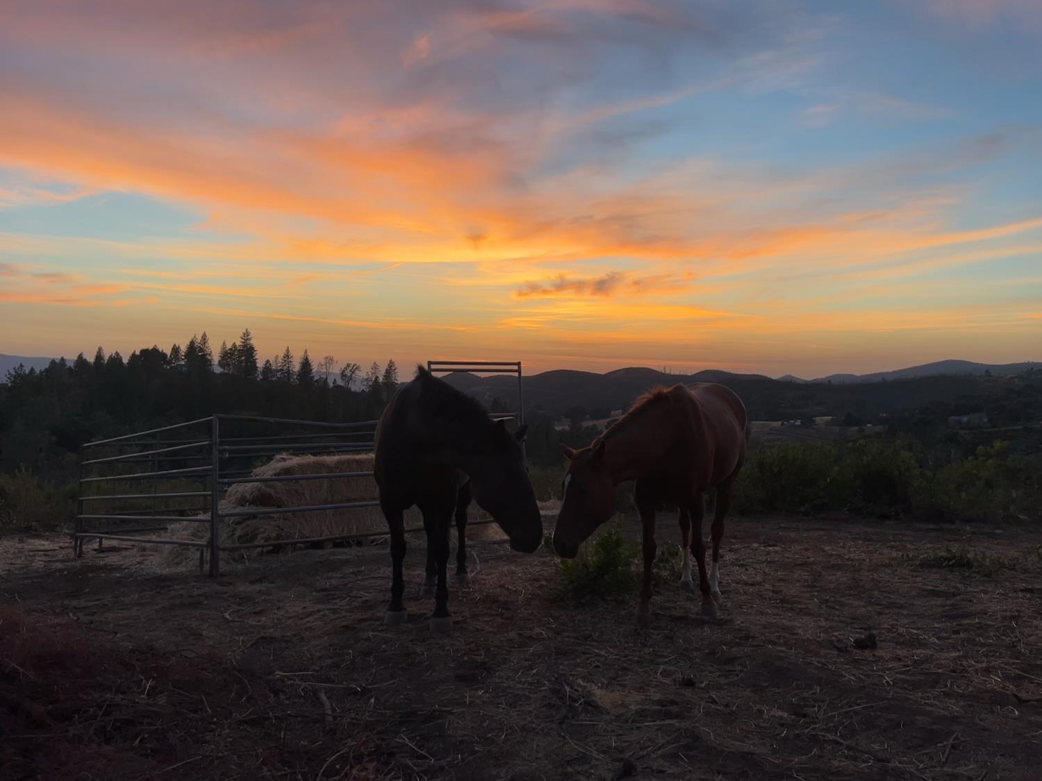 Starlight Lane, Mountain Ranch, California image 1