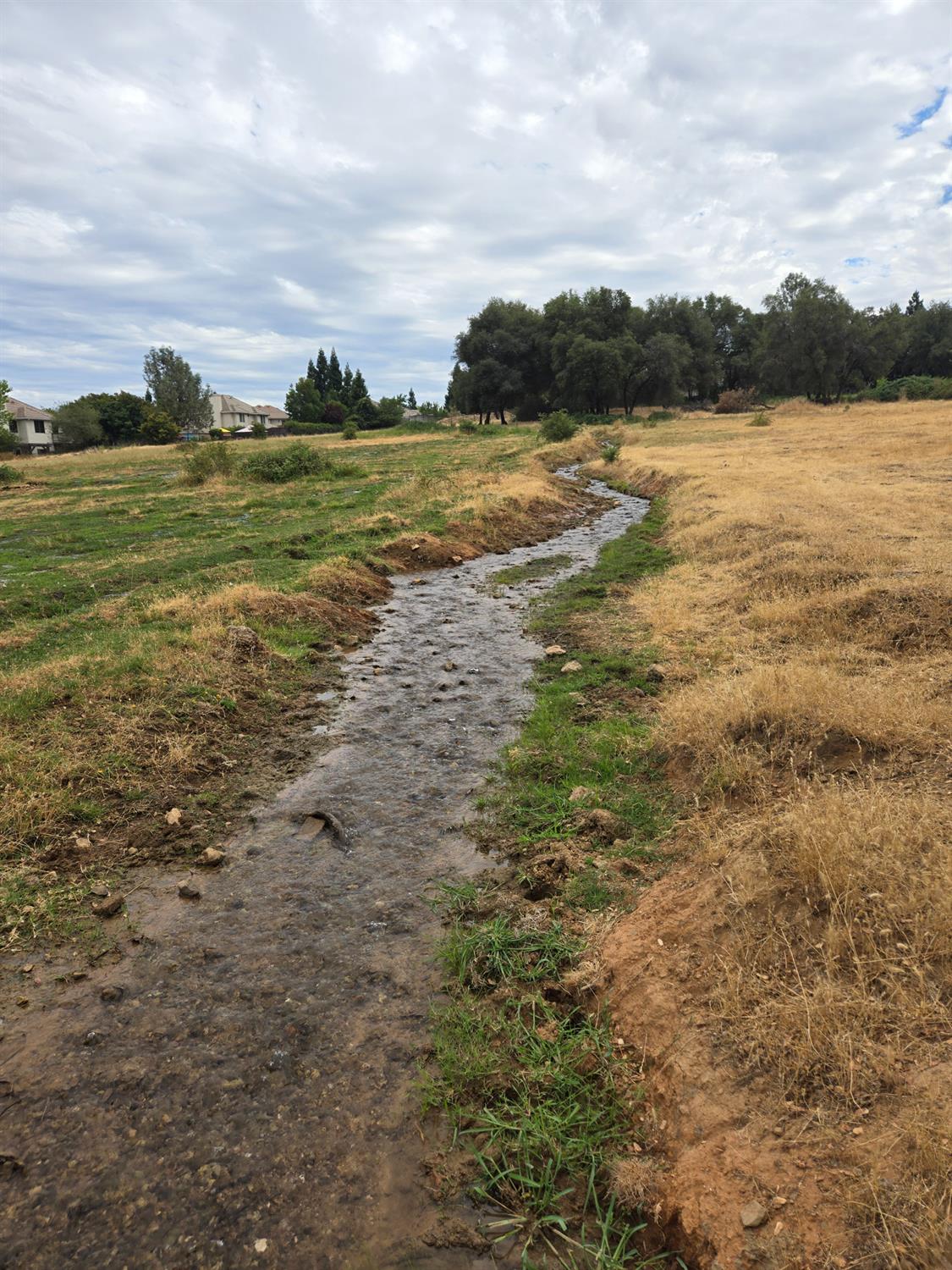 Dry Creek Road, Auburn, California image 9