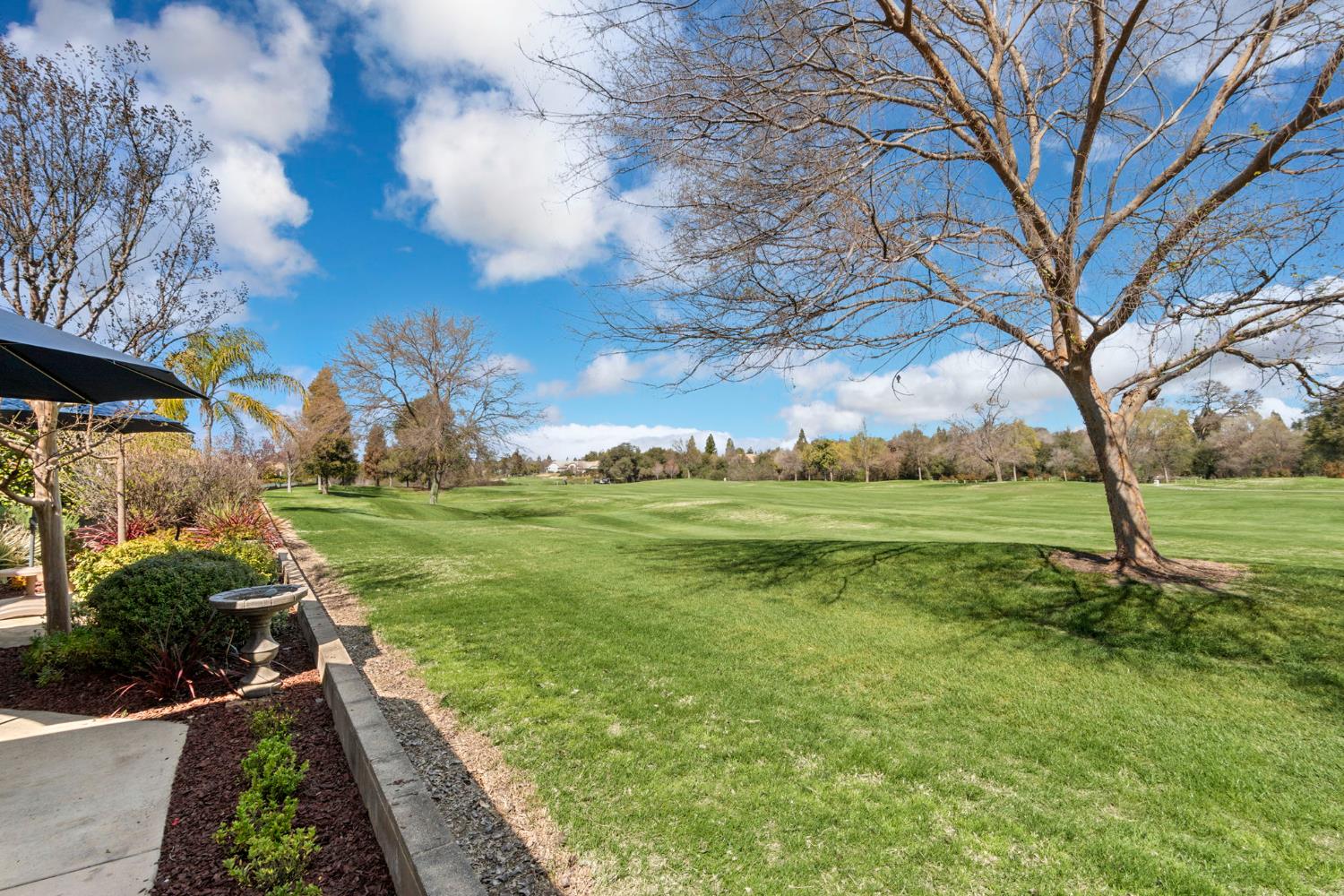 Firefly Green, Roseville, California image 23