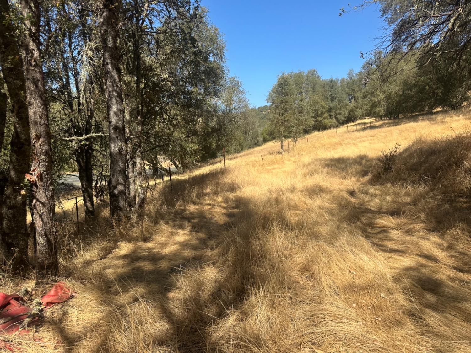 Highway 49, Mokelumne Hill, California image 15