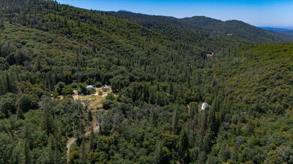 La Porte Road, Rackerby, California image 44