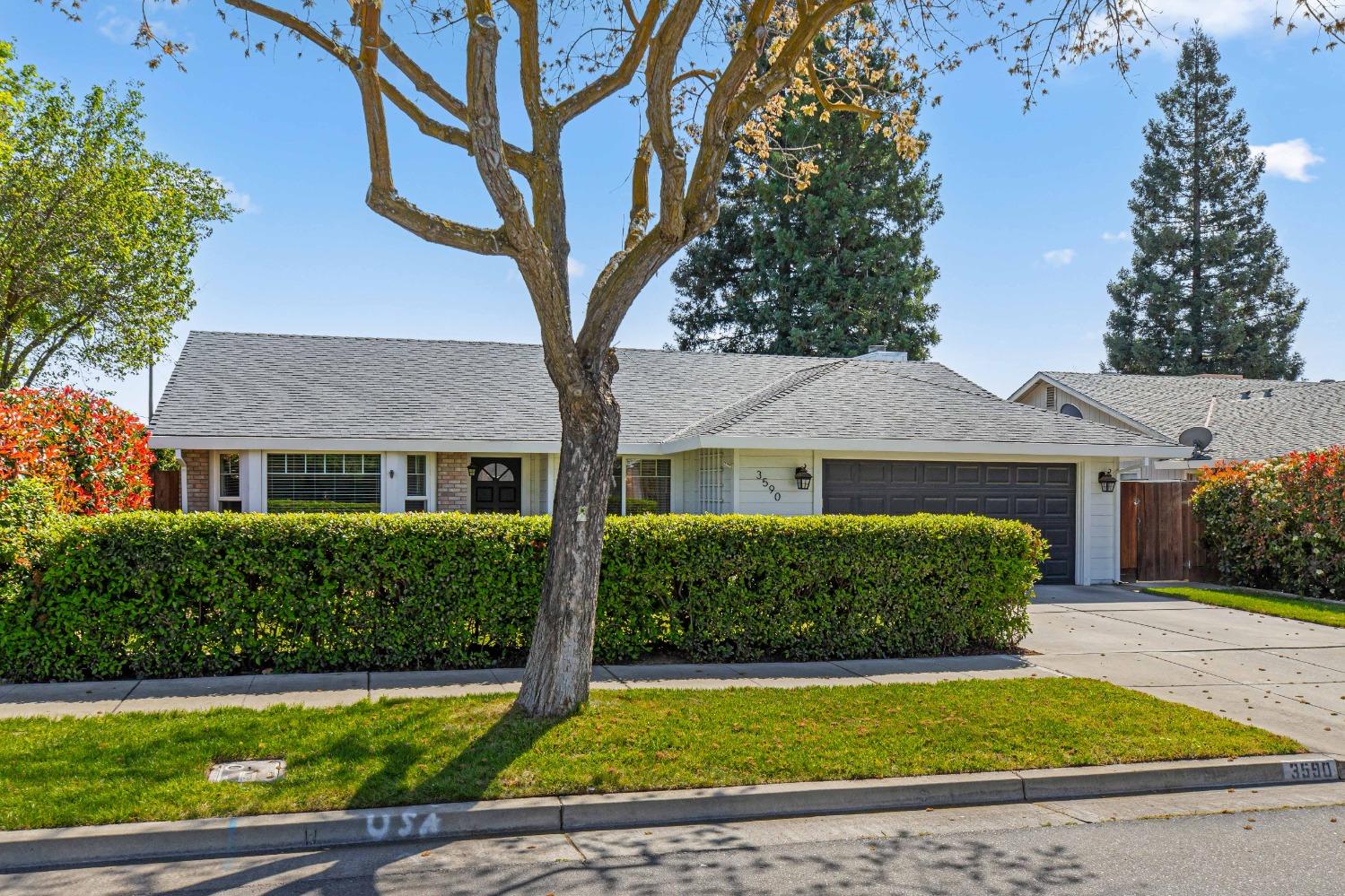Joerg Avenue, Merced, California image 4