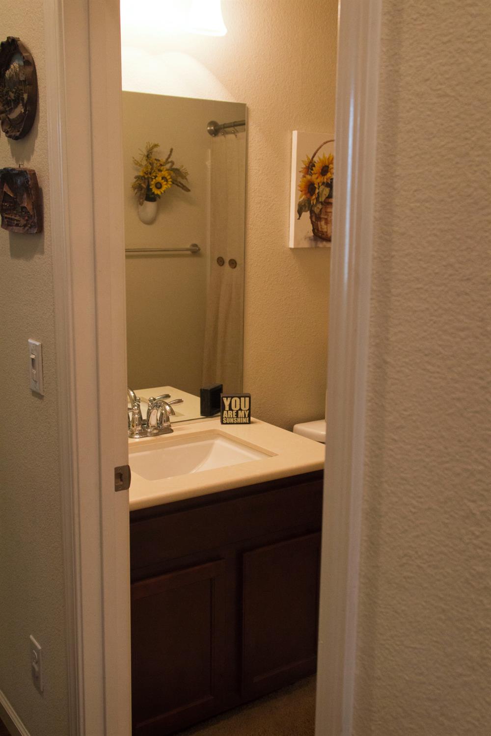Arbor Brook Drive, Manteca, California image 12