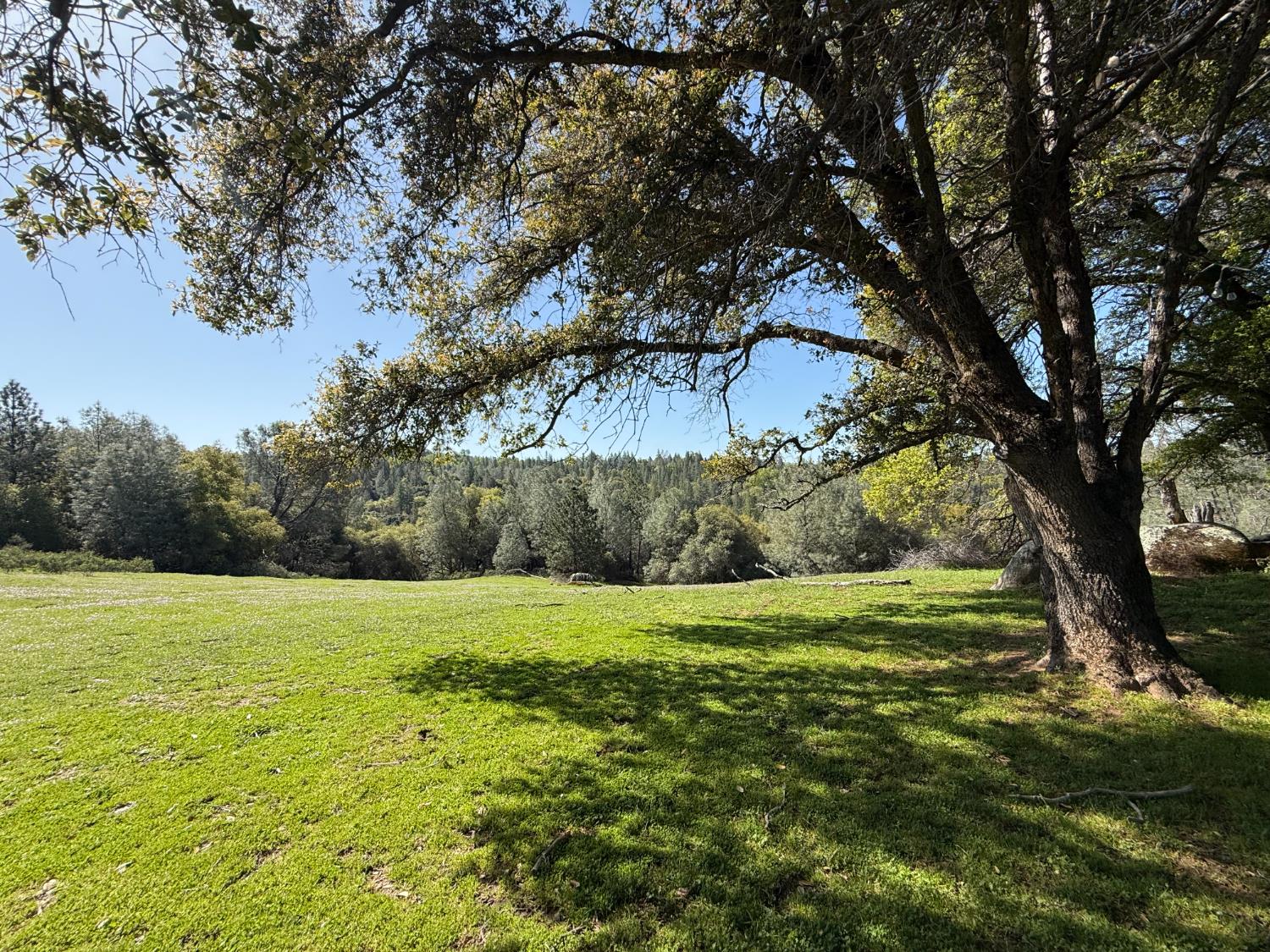Fairplay Road, Somerset, California image 7