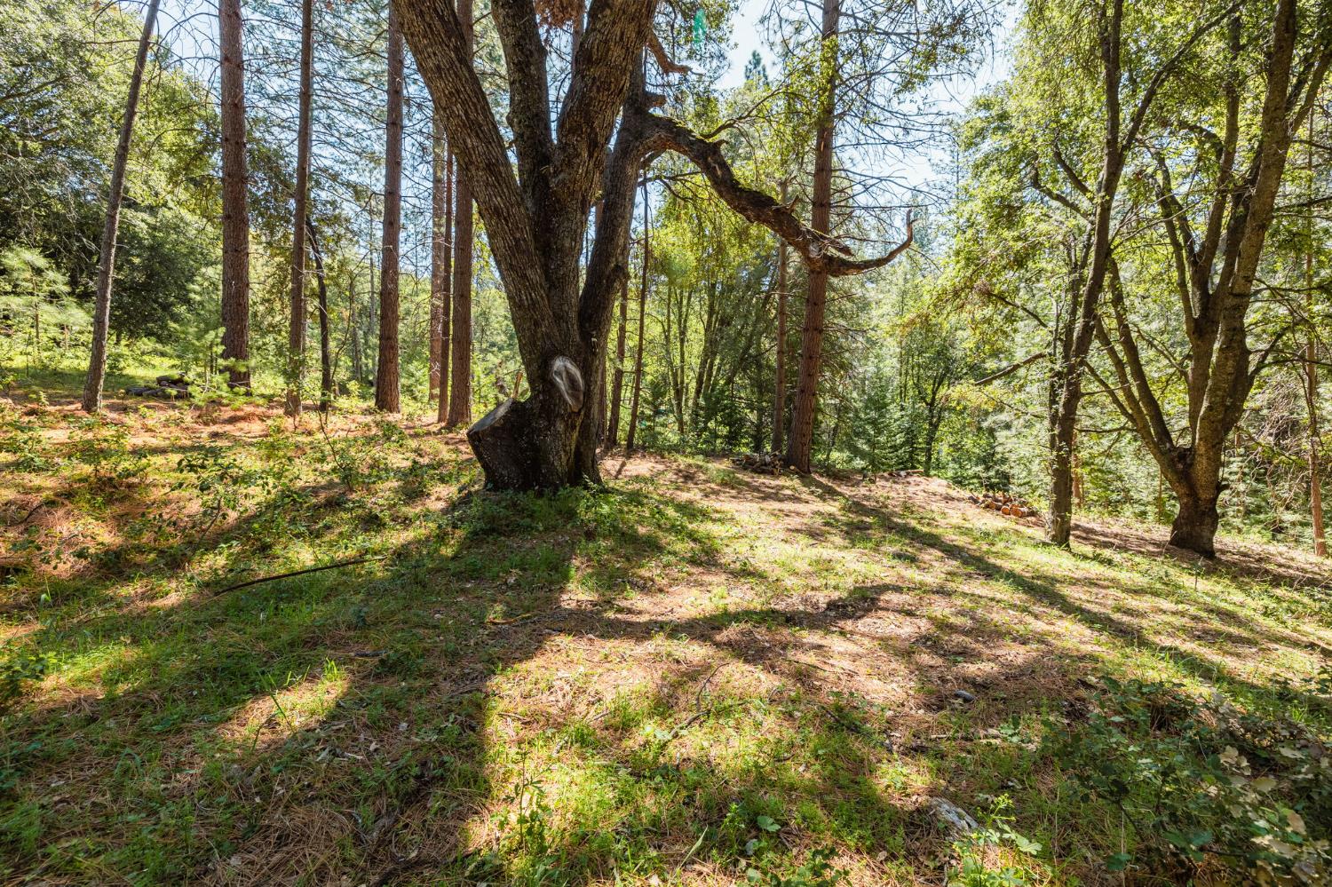 Big Hill Road, Sonora, California image 4