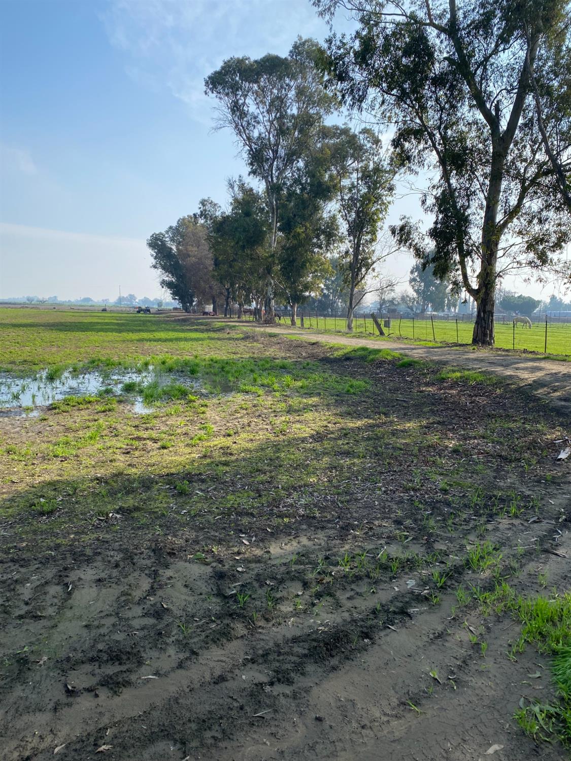 W Canal Boulevard, Tracy, California image 6