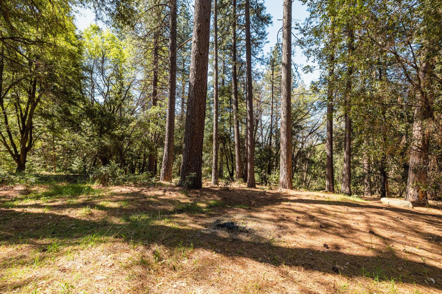 Big Hill Road, Sonora, California image 2