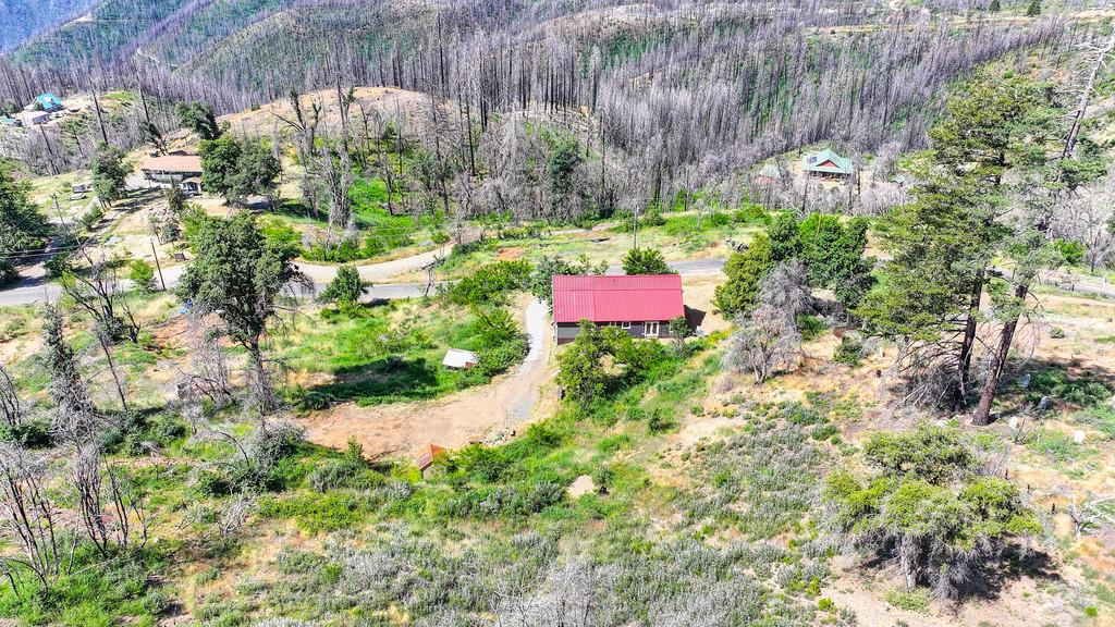 Michigan Bluff Road, Foresthill, California image 45