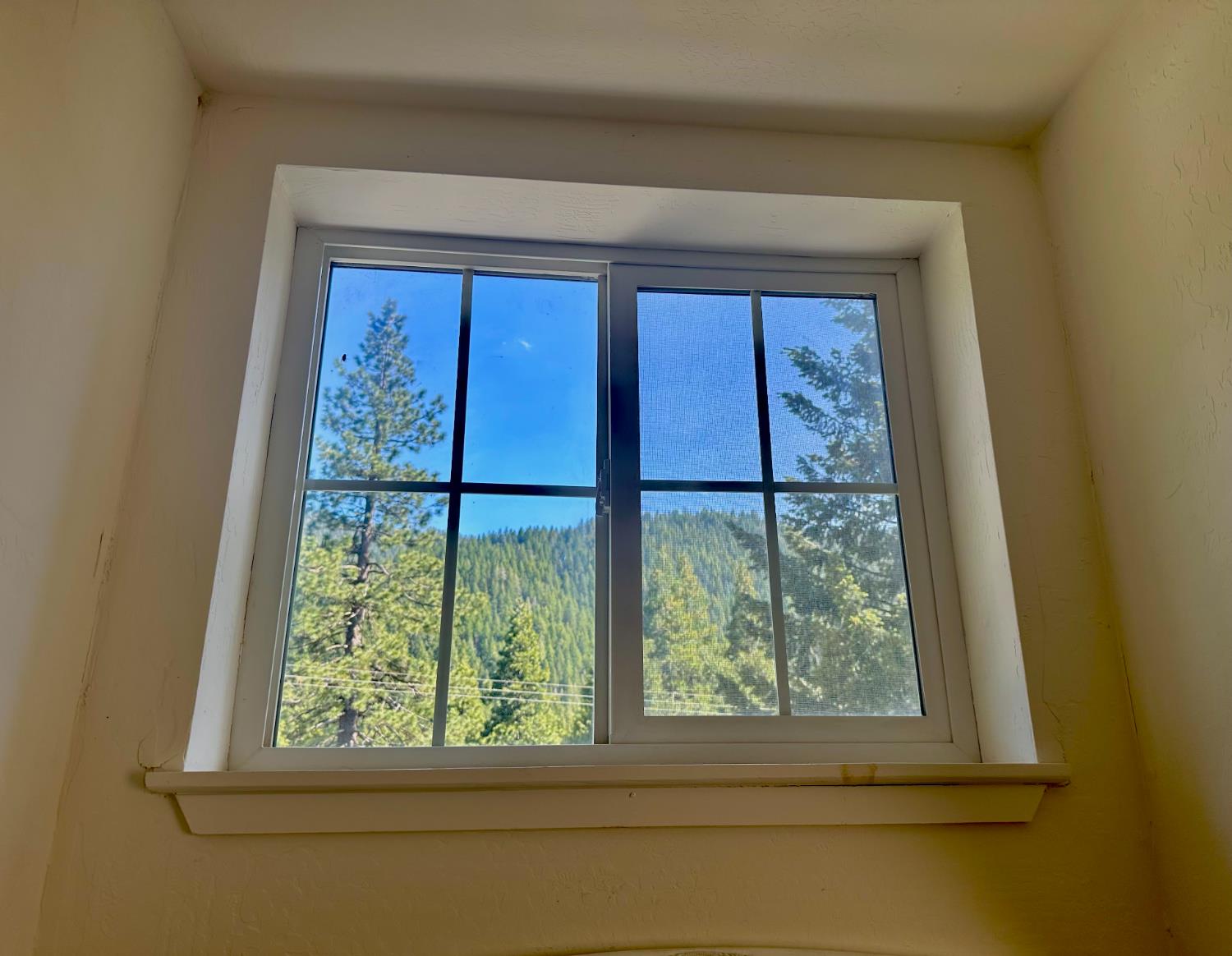 305 Main Street, Sierra City, California image 13