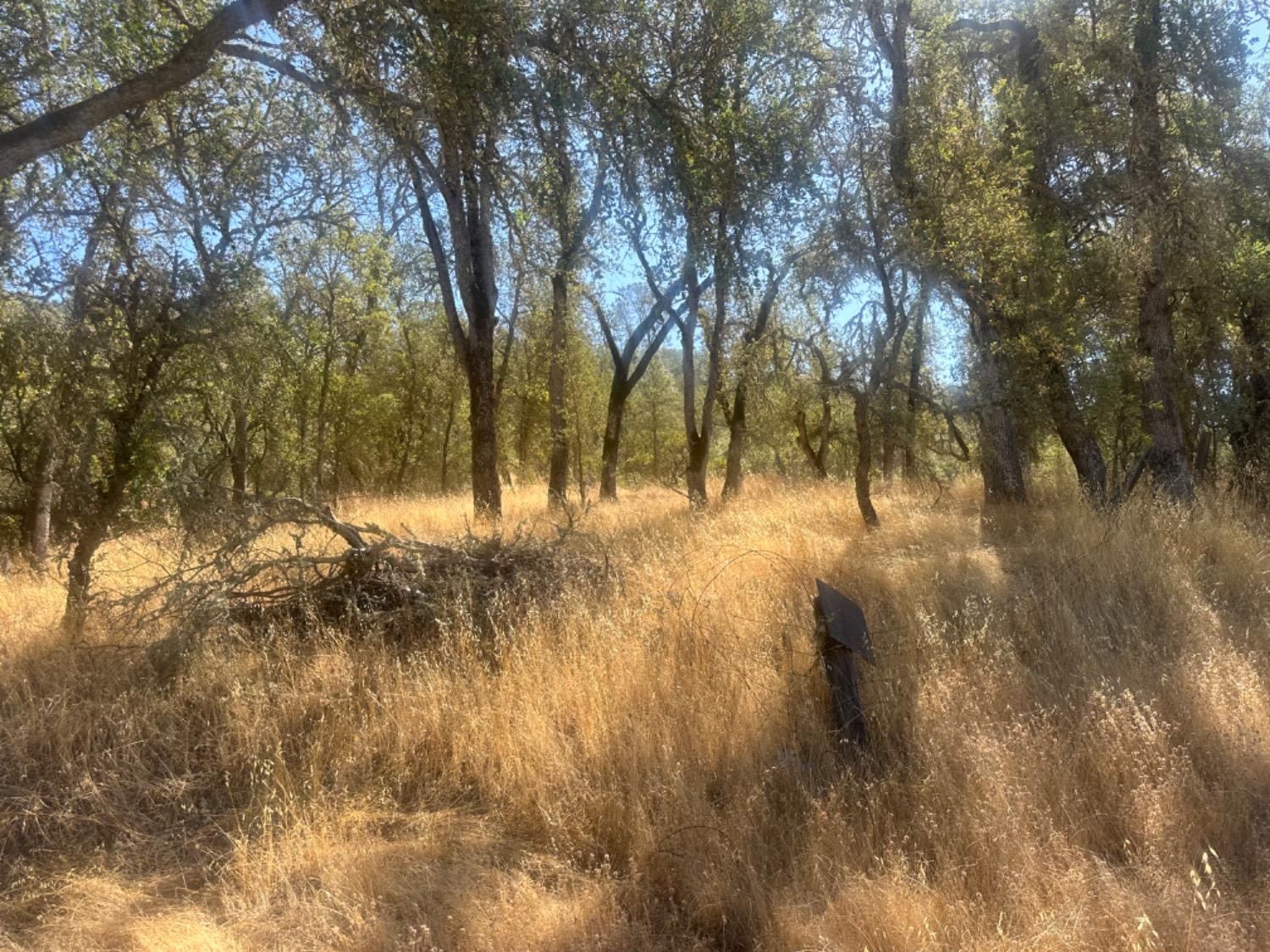 Highway 49, Mokelumne Hill, California image 13