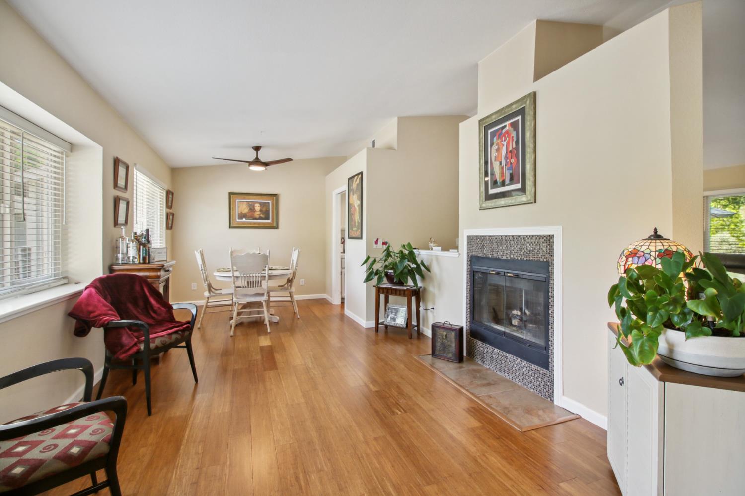 Parmis Court, Citrus Heights, California image 17