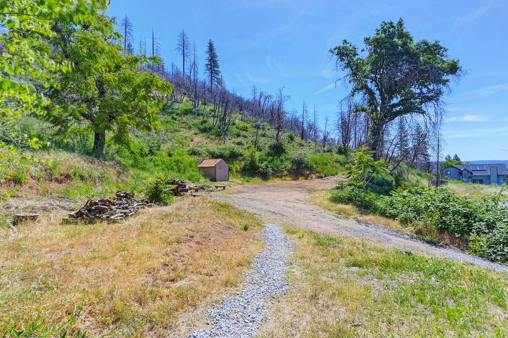 Michigan Bluff Road, Foresthill, California image 41