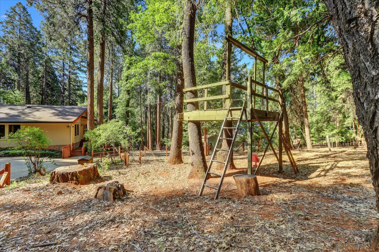 Moonrise Court, Nevada City, California image 50