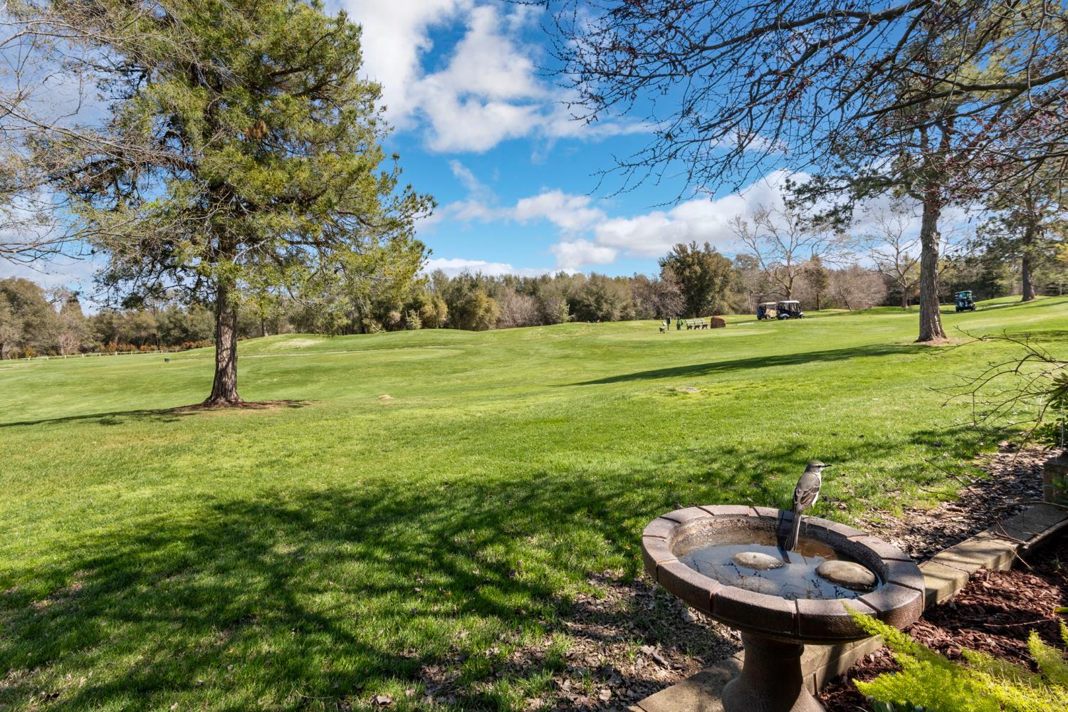 Firefly Green, Roseville, California image 21
