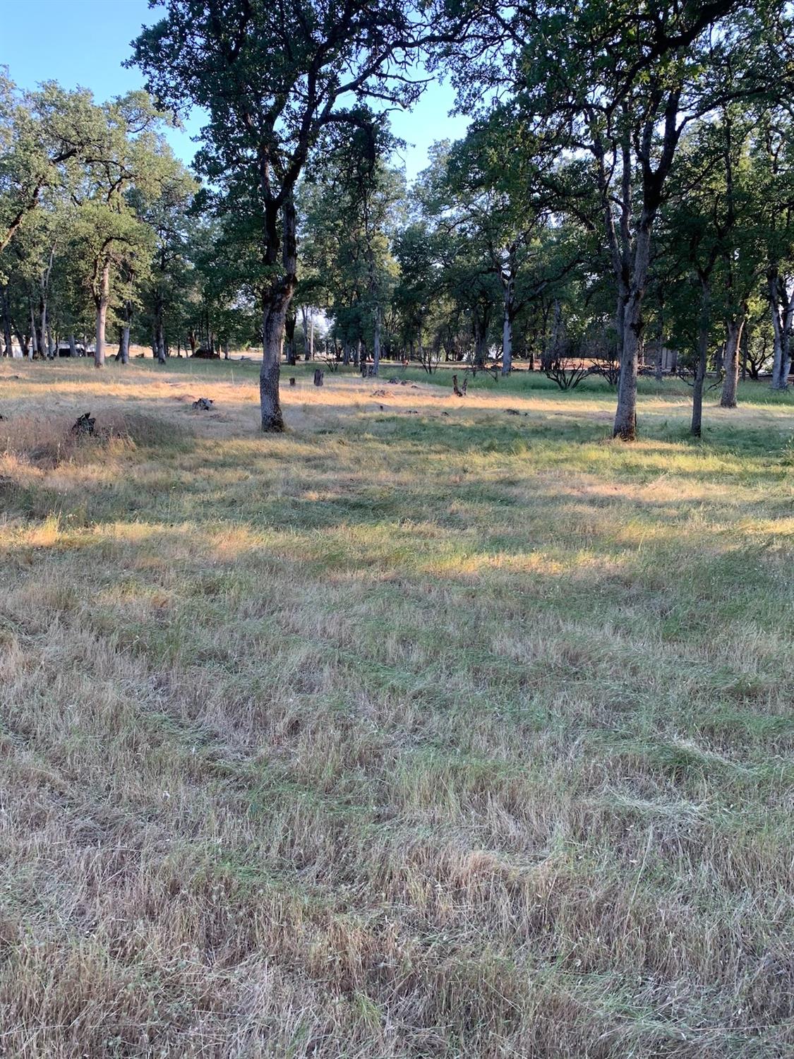 Kelso Court, Auburn, California image 5