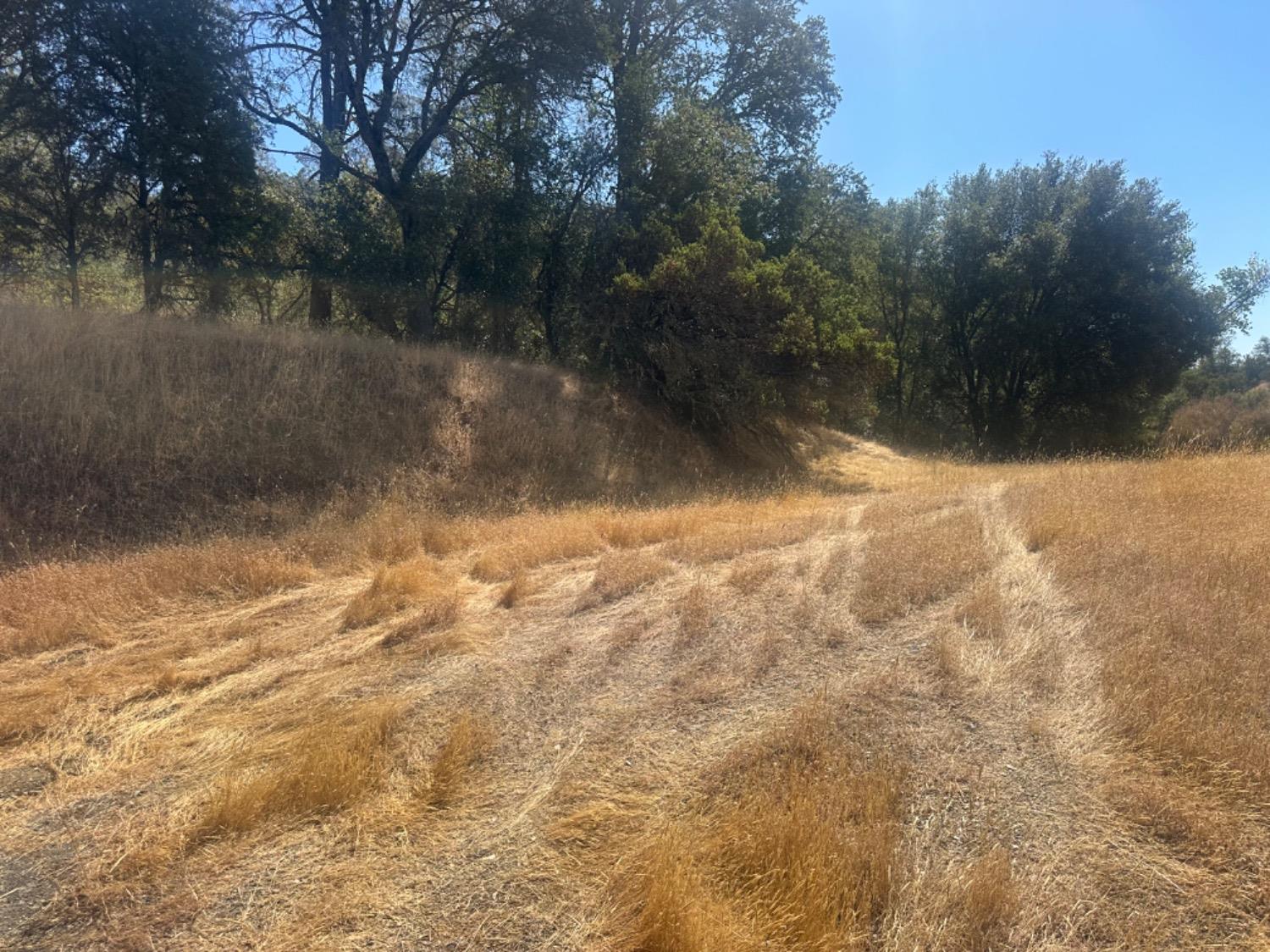 Highway 49, Mokelumne Hill, California image 8
