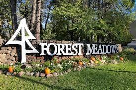 Dogwood Drive, Murphys, California image 1