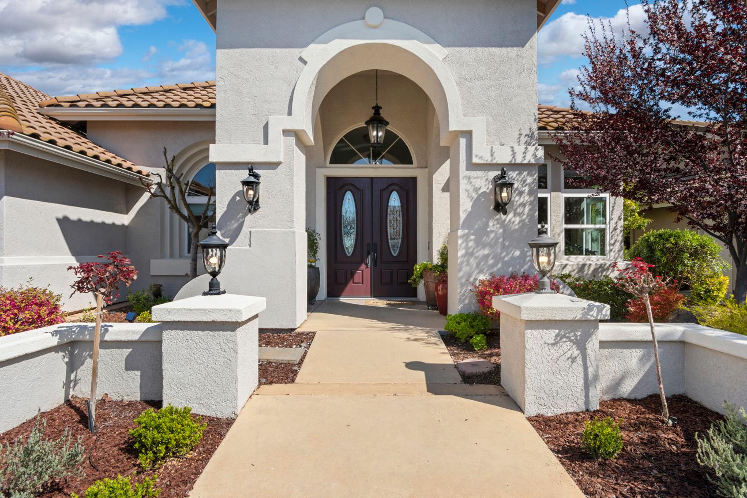 Firefly Green, Roseville, California image 1