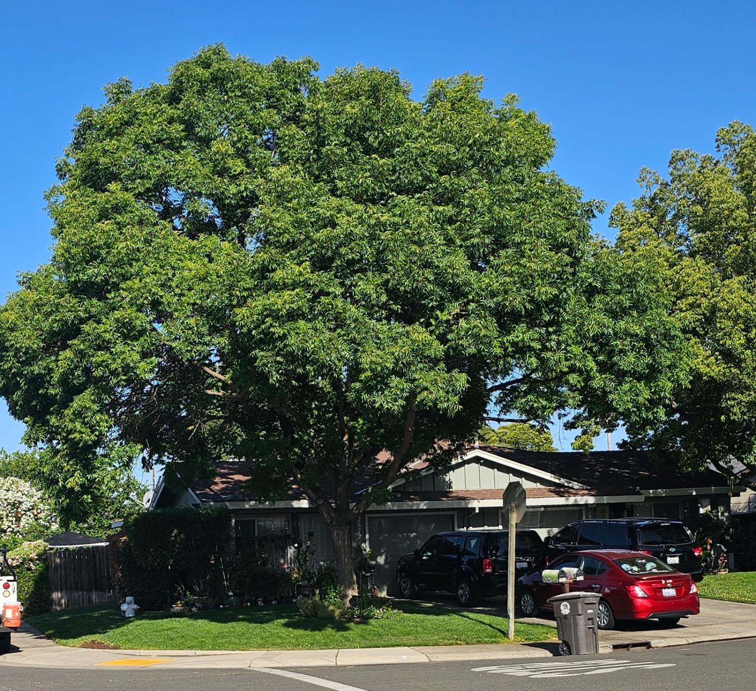 2872 Cochise Court, Rancho Cordova, California image 3