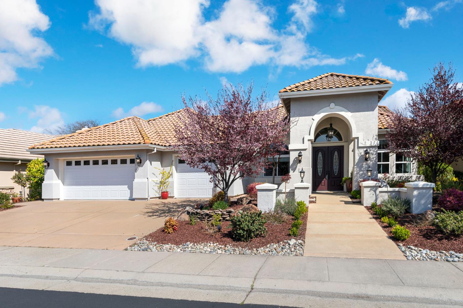 Firefly Green, Roseville, California image 2