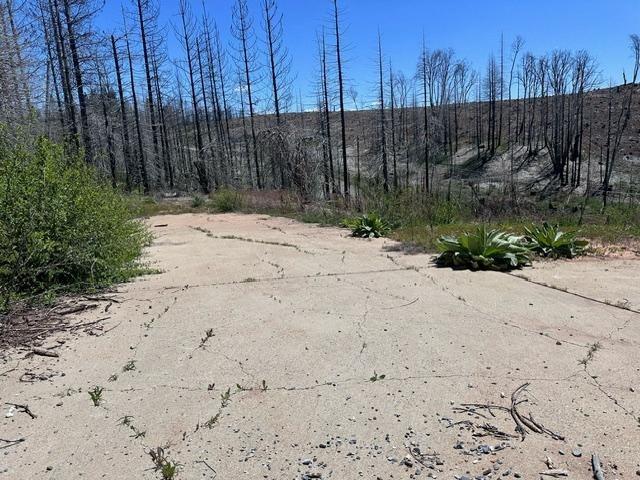 Deertrack Court, Grizzly Flats, California image 3
