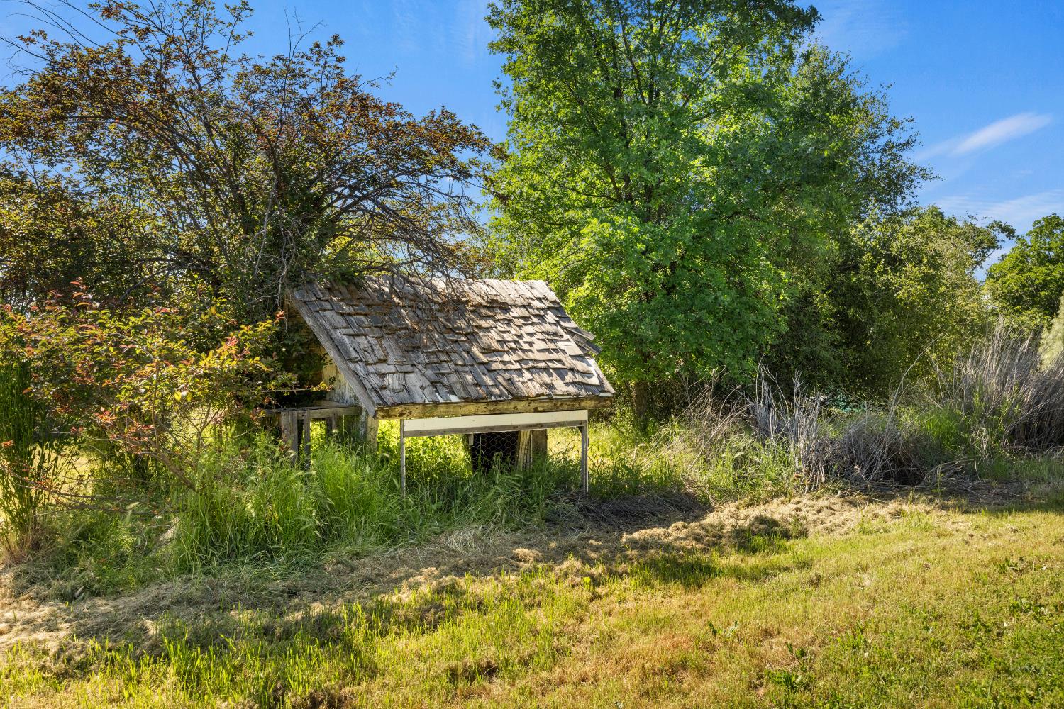 Forni Road, Placerville, California image 39