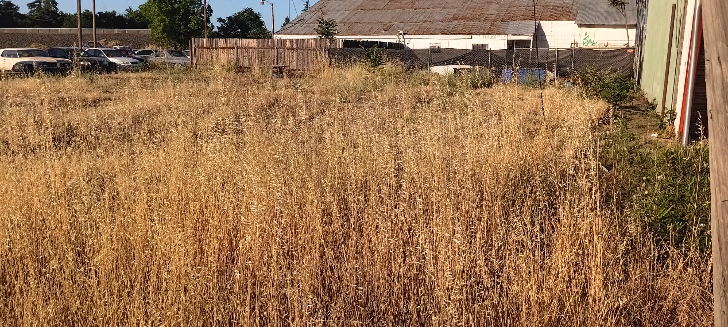 B Street, Marysville, California image 2