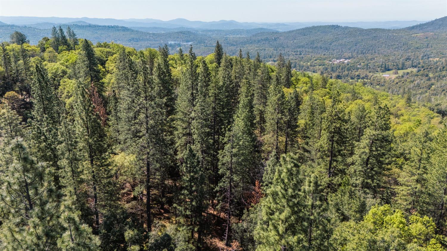 Big Hill Road, Sonora, California image 9
