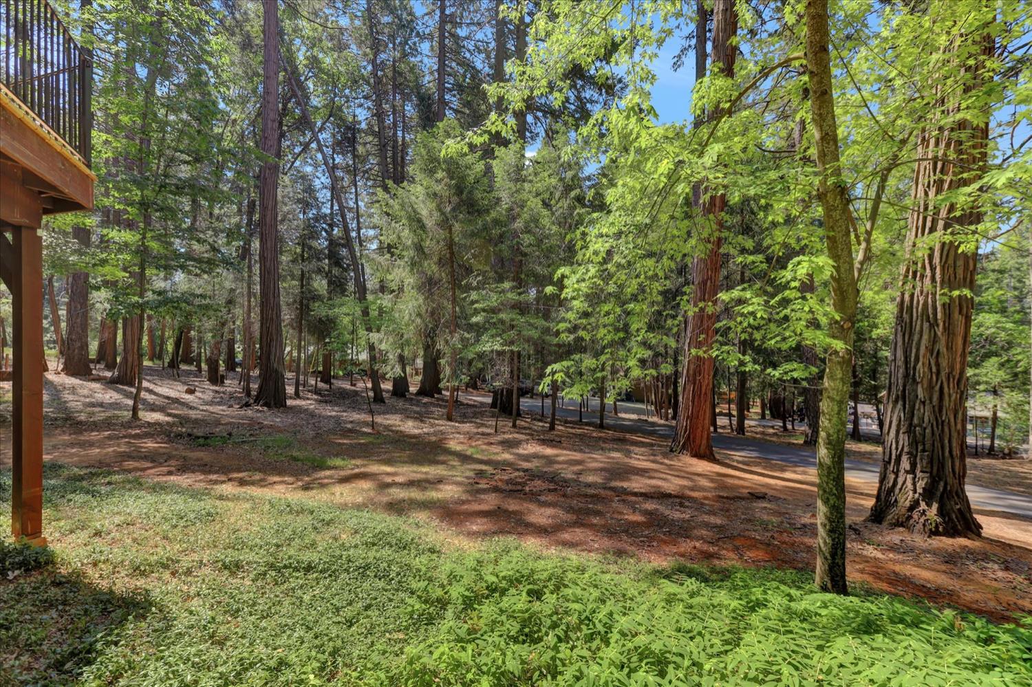 Moonrise Court, Nevada City, California image 48