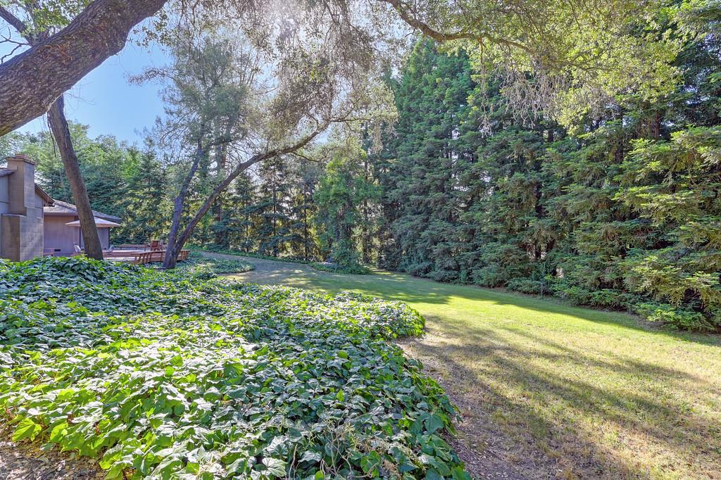 Shady Creek Lane, Granite Bay, California image 46
