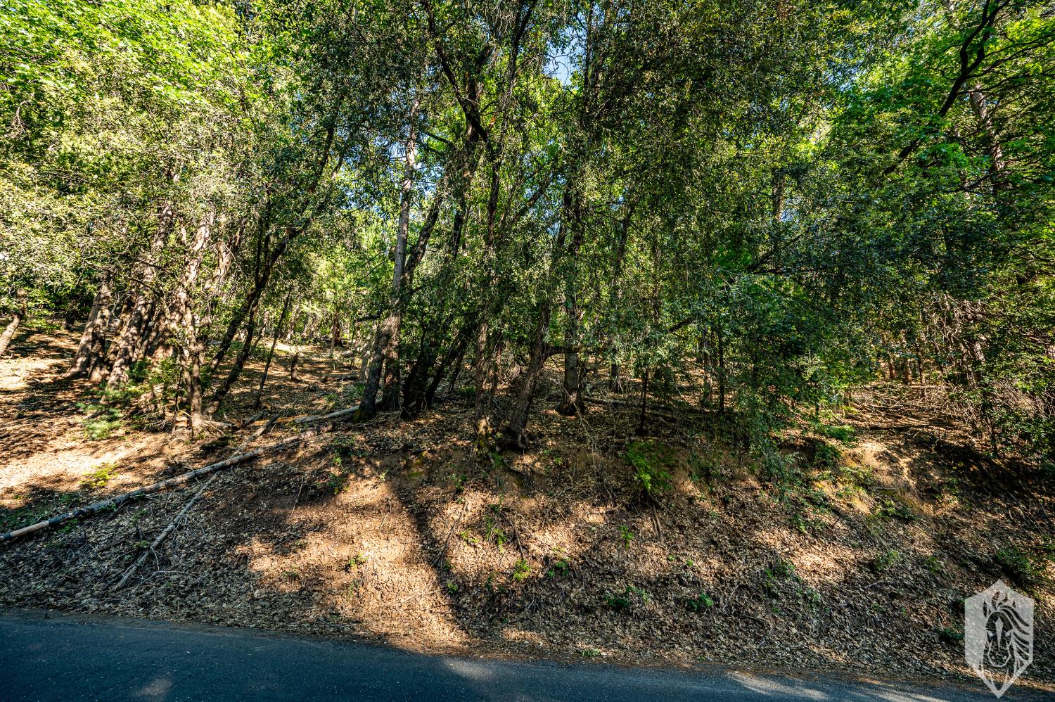 Ontario Drive, Twain Harte, California image 14