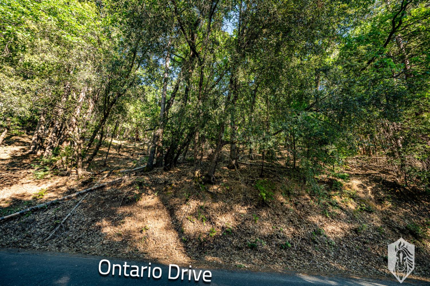 Ontario Drive, Twain Harte, California image 3