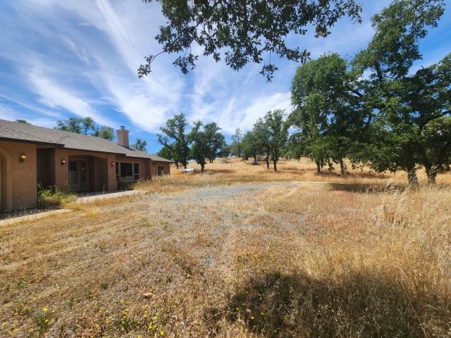 Sunnyhill Road, Bangor, California image 3
