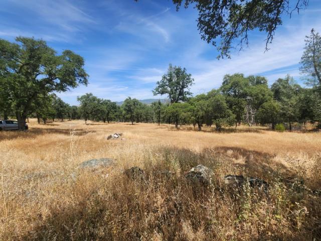 Sunnyhill Road, Bangor, California image 4
