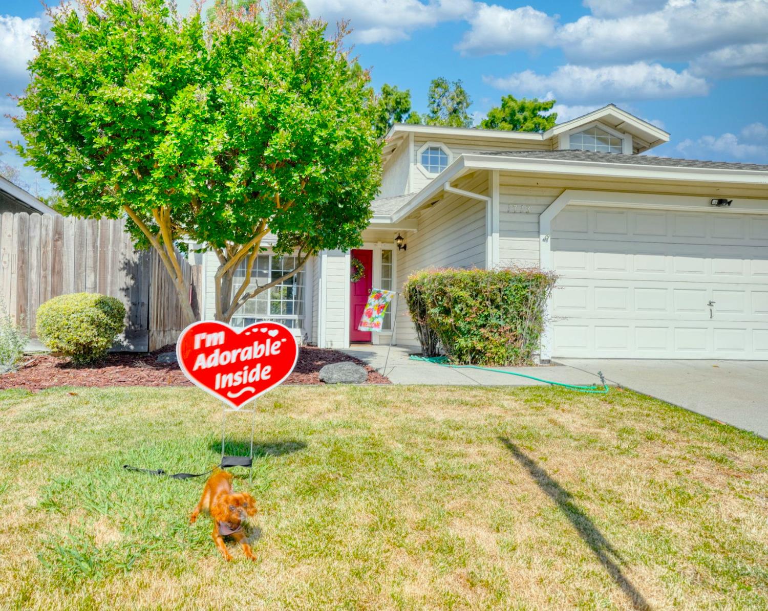 Cashmere Drive, Modesto, California image 30