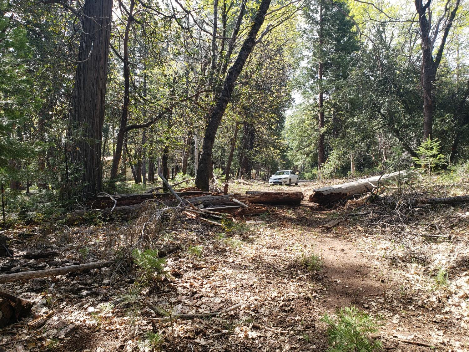 D Buffalo Hill Road, Georgetown, California image 12