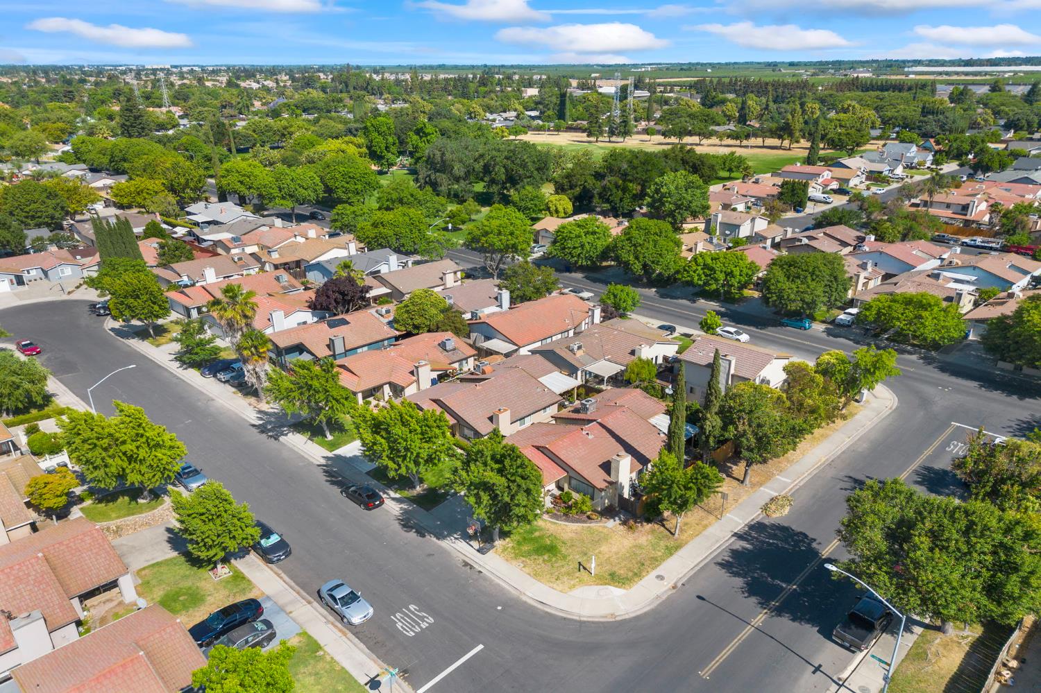 Grapeleaf Way, Modesto, California image 41