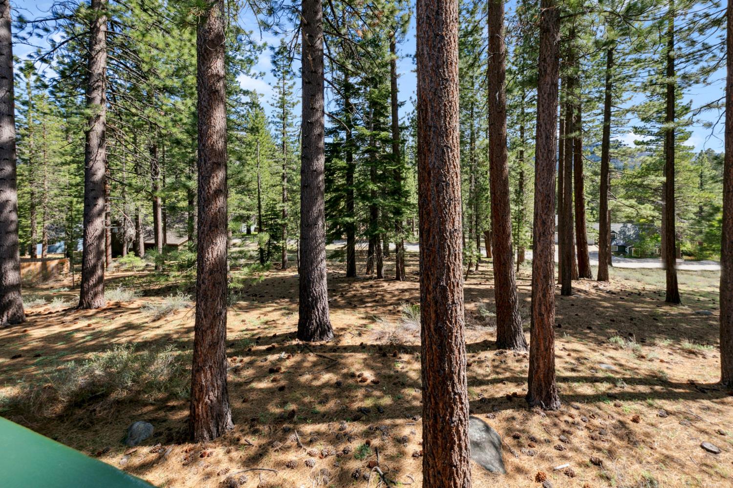 Oglala Street, South Lake Tahoe, California image 16