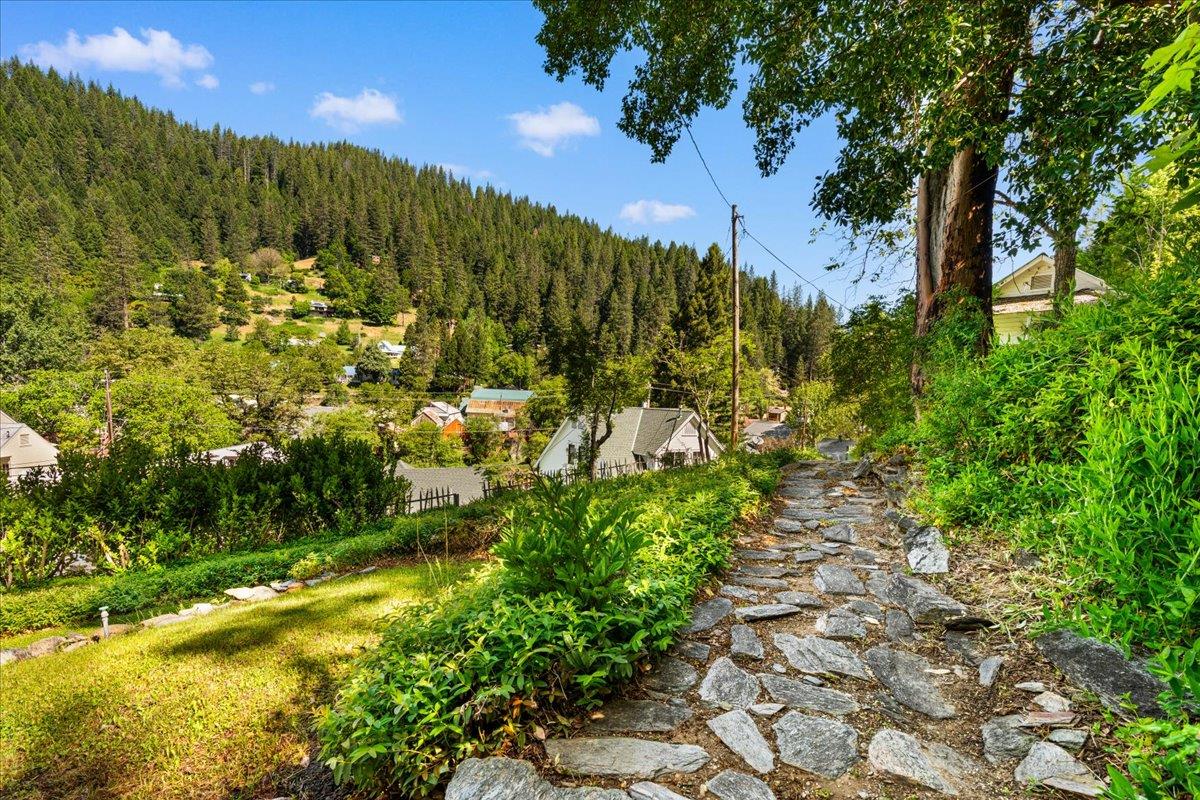 Pearl Street, Downieville, California image 22