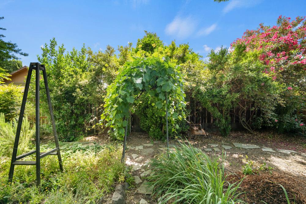 Boxwood Road, Woodland, California image 40