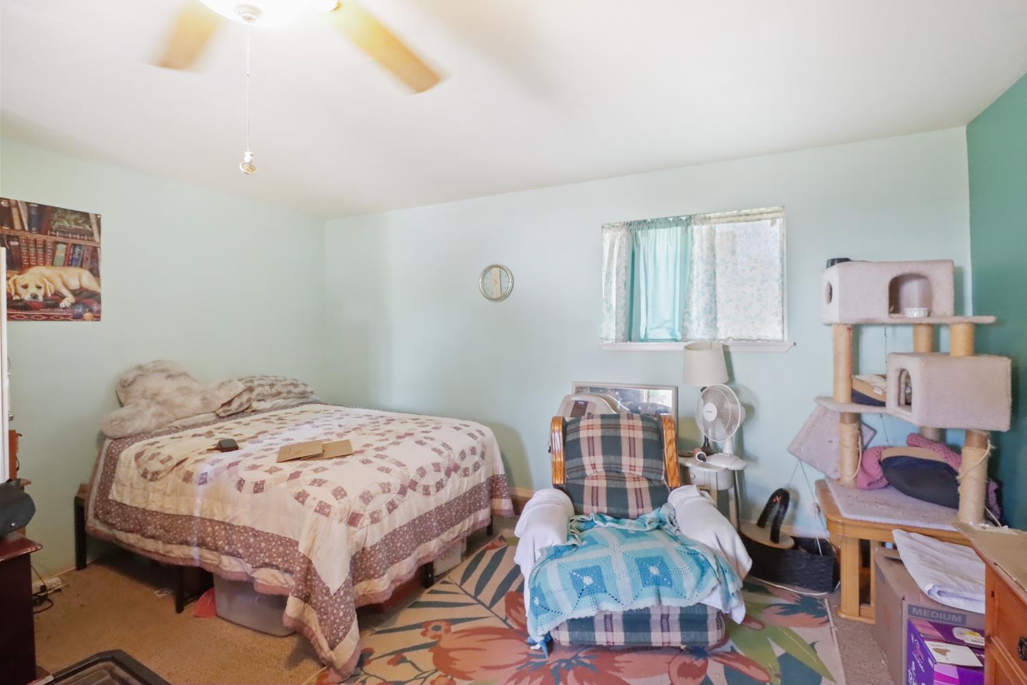 Angelo Drive, Loomis, California image 19