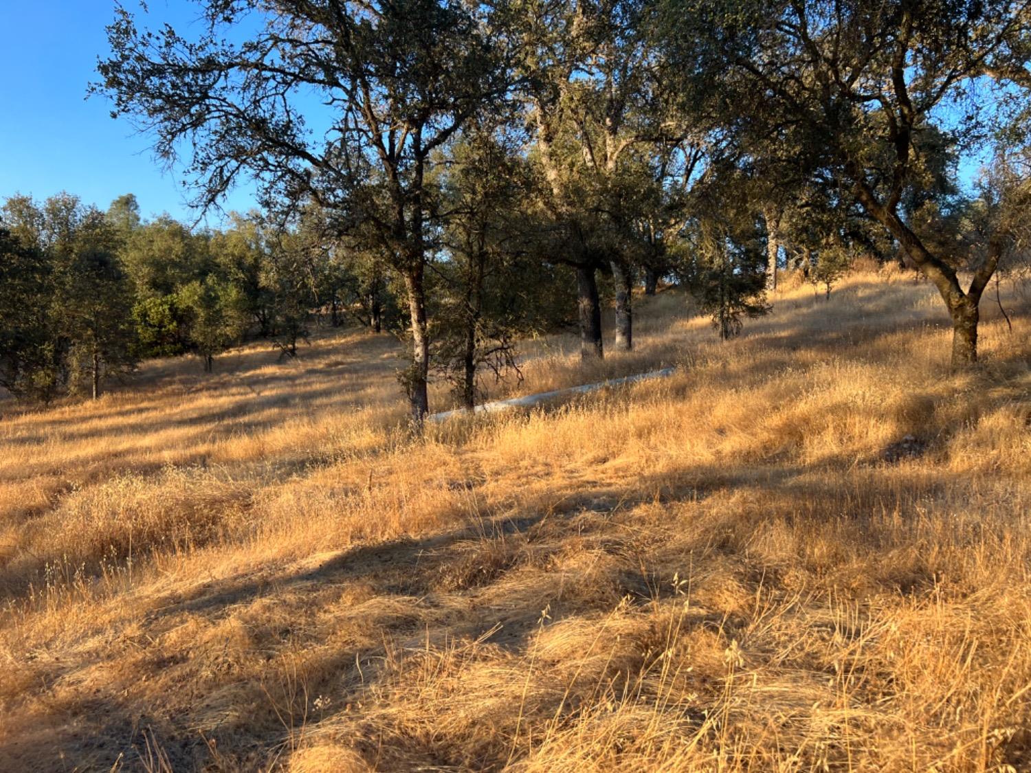 Highway 49, Mokelumne Hill, California image 5